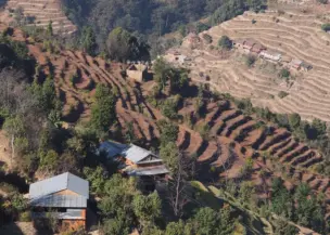 Helambu trekking