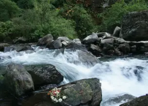 Langtang Trek