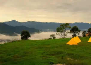 kakani