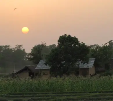 Bardia National Park Safari