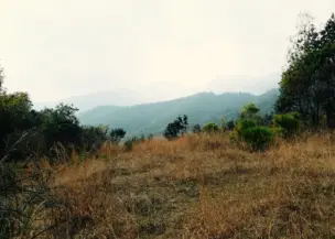 Champadevi Day Hike