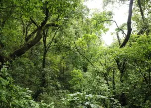 Phulchoki Kathmandu Hike
