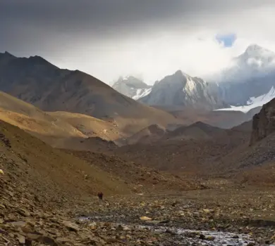 Upper Dolpo Trek