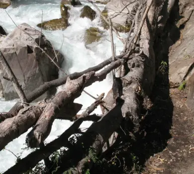 Lapchi Valley Trek